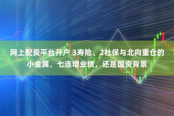 网上配资平台开户 3寿险、2社保与北向重仓的小金属,七连增业绩,还是国资背景